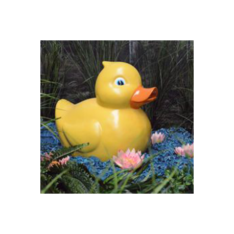 Canard 60cm