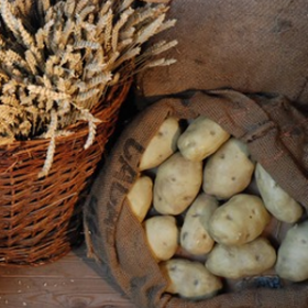 Sac pomme de terre 40cm