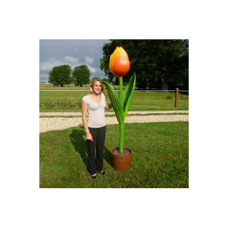Tulipe jaune orangée 206cm