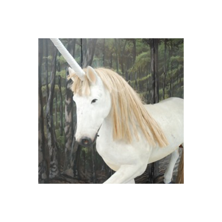 Licorne 270cm