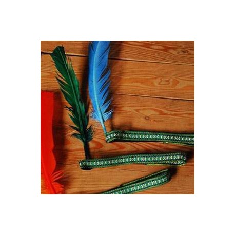 Plumes d'indien 22cm