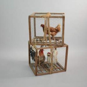 Cage avec poules 47cm