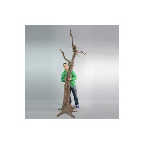 Arbre sans vie 350cm