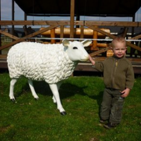 Mouton 88cm