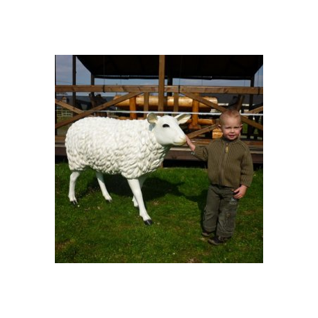 Mouton 88cm