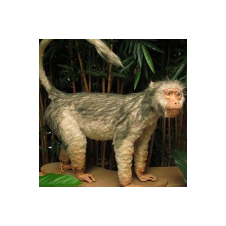 Singe Gibbon 93cm