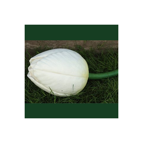 Bouton de tulipe blanc 40cm