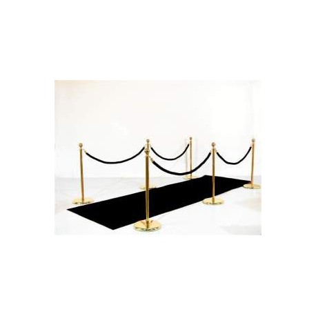 Entrée VIP: tapis noir, potelets, cordons
