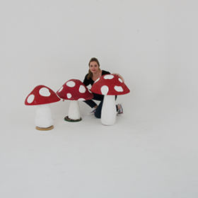 Champignon rouge et blanc 50cm