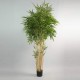 Bambou 200cm