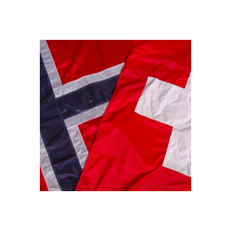 Drapeau Norvège 150cm