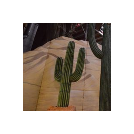 Cactus 156cm