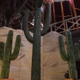 Cactus 403cm