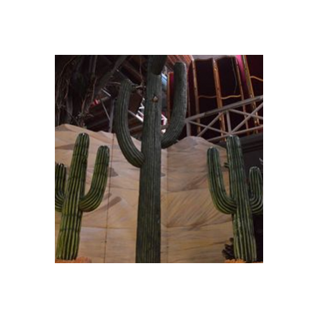 Cactus 403cm