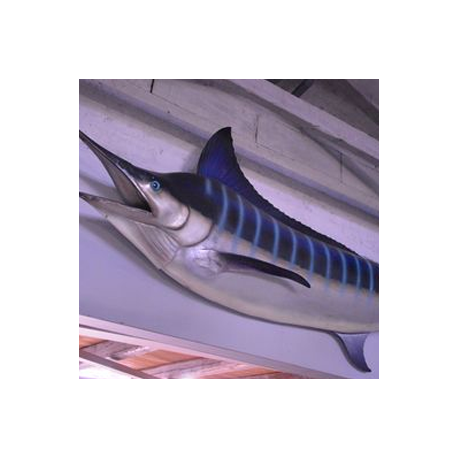 Poisson Marlin 88cm