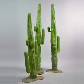 Cactus 250cm
