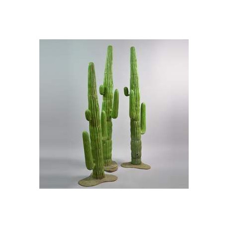 Cactus 250cm