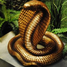 Cobra or 53cm