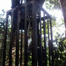 Cage avec os 123cm