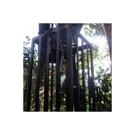 Cage avec os 123cm