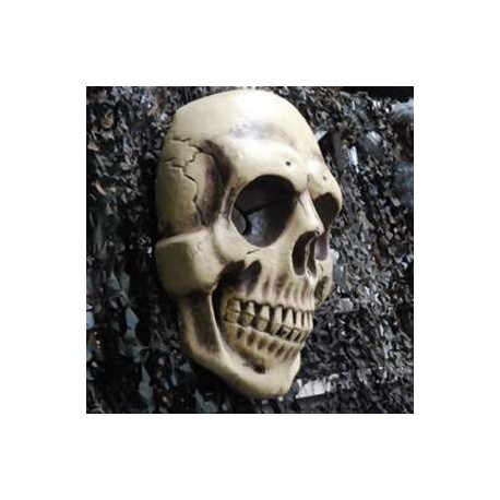 Crâne humain 80cm