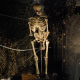 Squelette 200cm