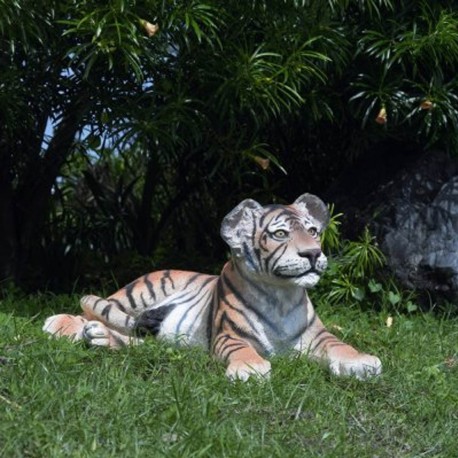 Bébé tigre couché