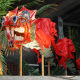 Dragon rouge 700cm