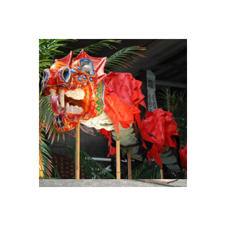 Dragon rouge 700cm