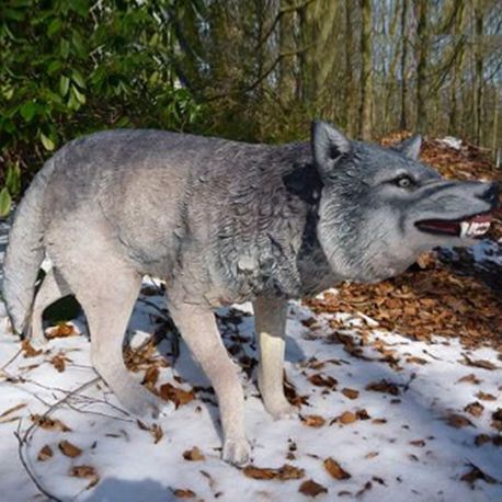 Loup de la maison Stark