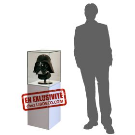 Vitrine collectionneur Dark vador