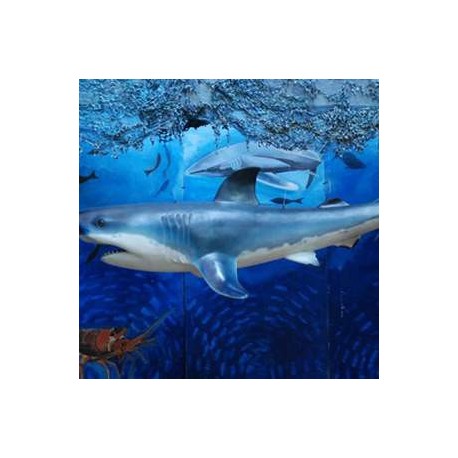 Requin 270cm