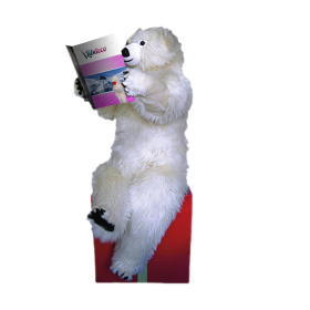 Automate ours polaire en train de lire