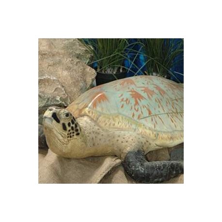 Tortue des mers 100cm