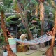 2 palmiers avec hamac 100cm