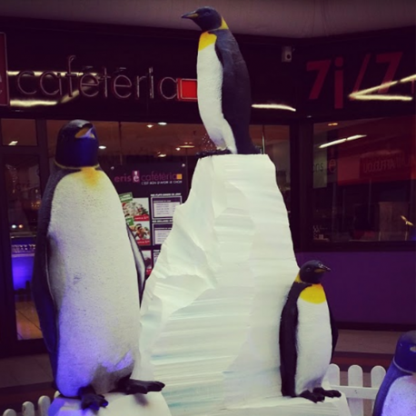 Pingouin 70cm