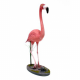 Flamand Rose 120cm