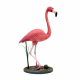 Flamand Rose 120cm