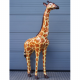 Girafe 207cm