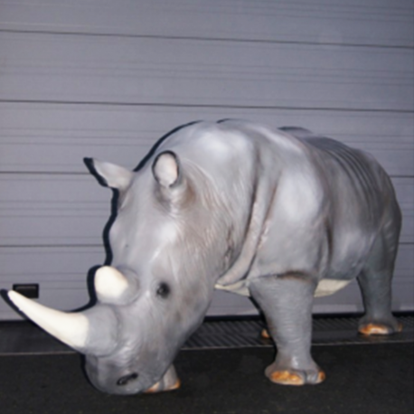 Rhinocéros 390cm