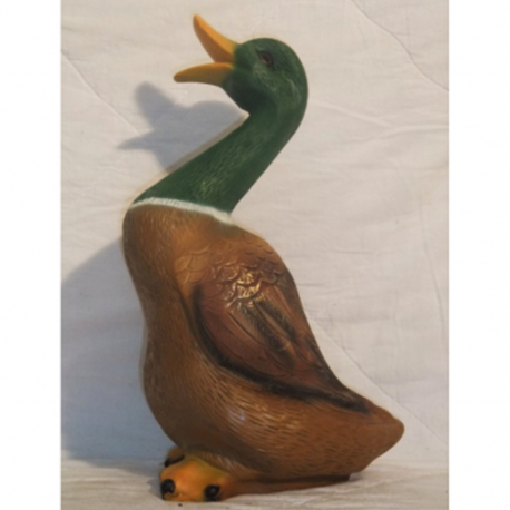 Canard 38cm