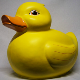 Canard 60cm