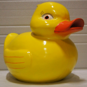 Canard 42cm