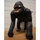 Petit Gorille 75cm
