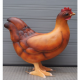 Poule 155cm