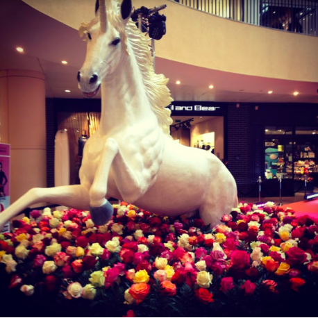 Licorne 297cm