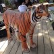 Tigre 90cm