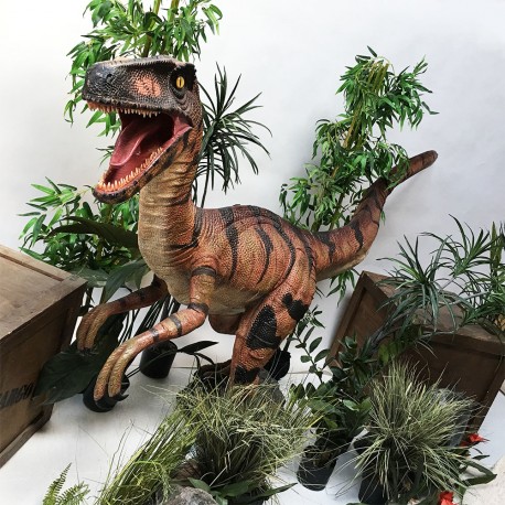 Sur le thème des dinosaures, découvrez notre kit anniversaire