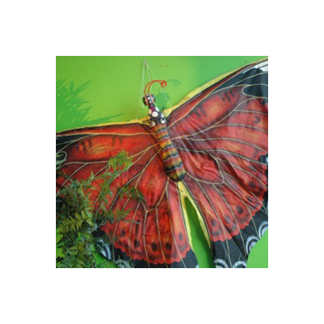 Papillon, cerf-volant 150cm