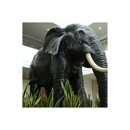Eléphant taille réelle 300cm